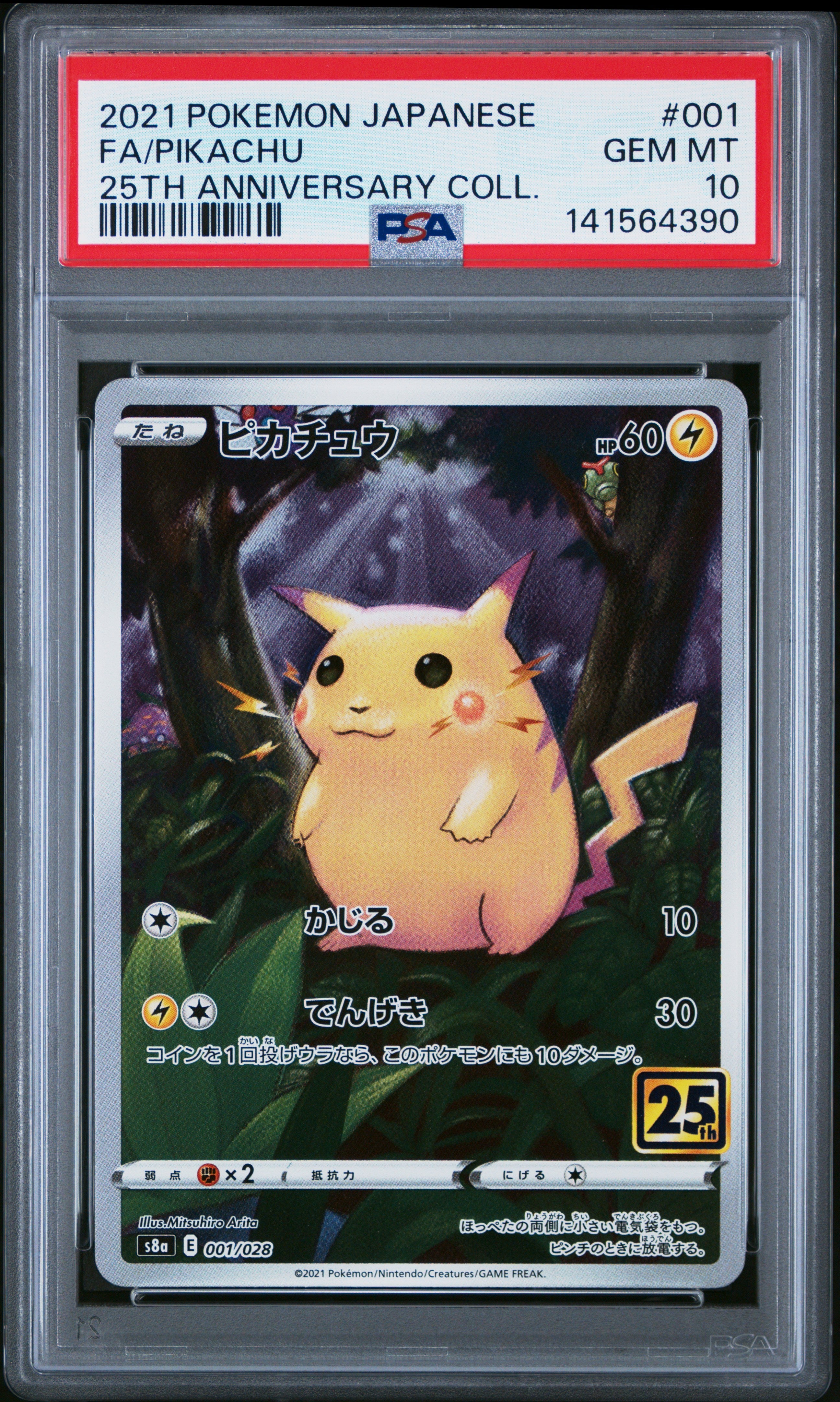 Pokemon Graded Slabs